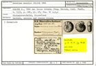 Karteikarte zum Syntyp von Rosalina maorica Stache, 1864